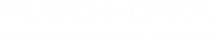 PuschData