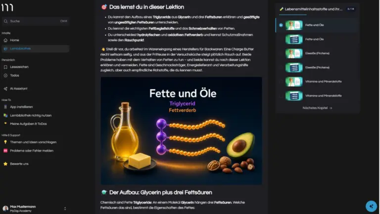 Lernvideo mit Textlektion – Erklärgrafiken und Zusammenfassung zum Nachlesen